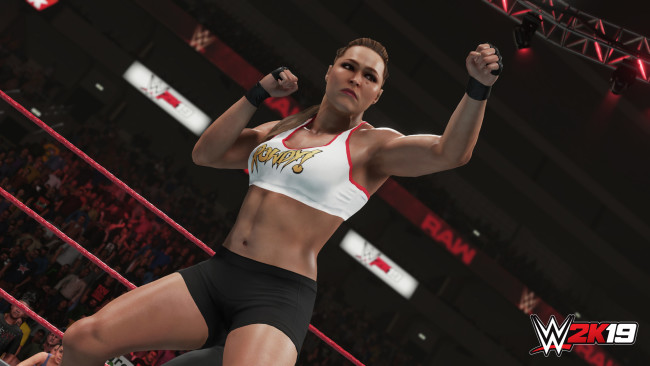 1539592278 210 wwe 2k19 torrent download crotorrents - WWE 2K19 Torrent Download - CroTorrents
